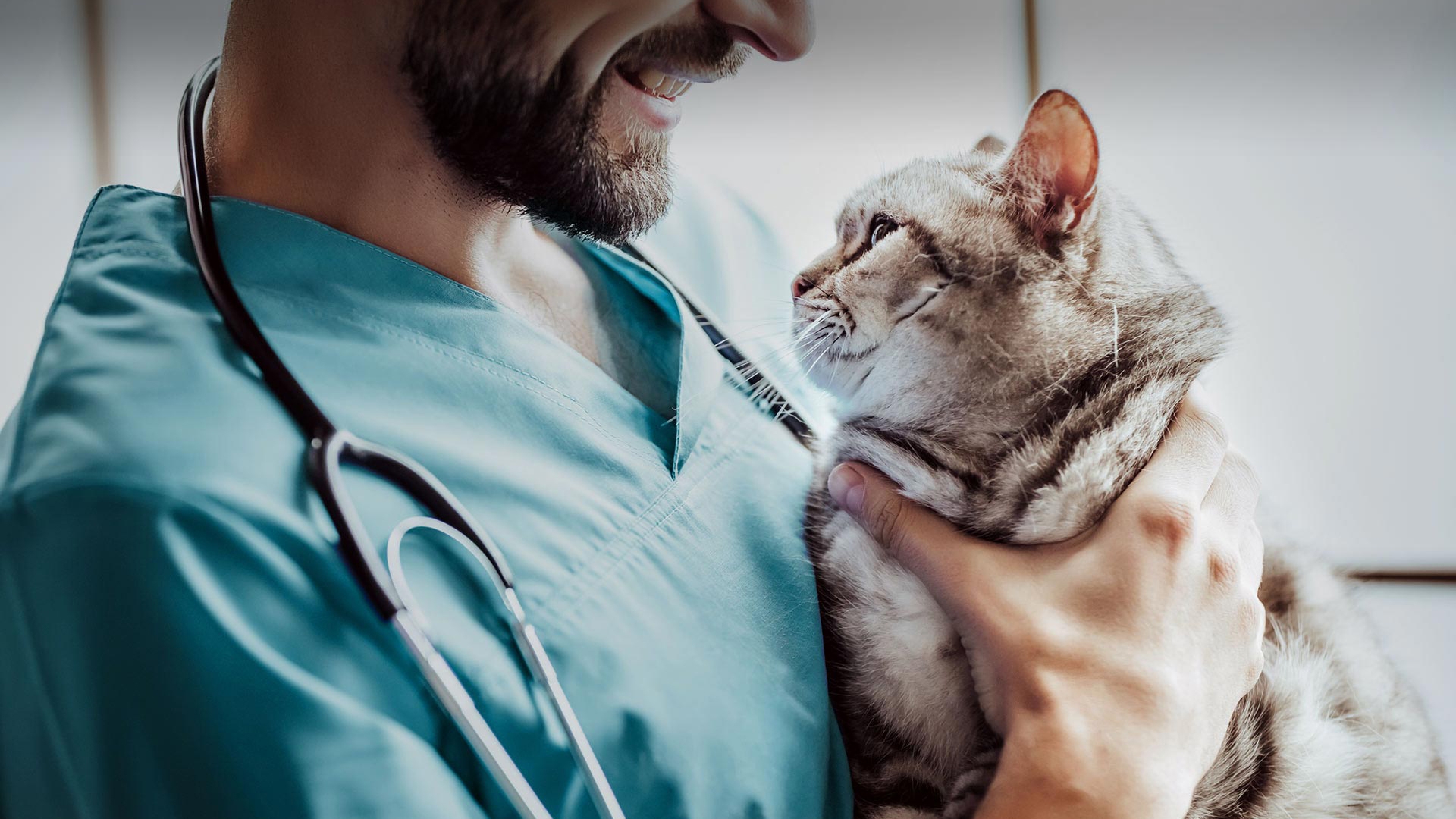 Harmandalı Veteriner